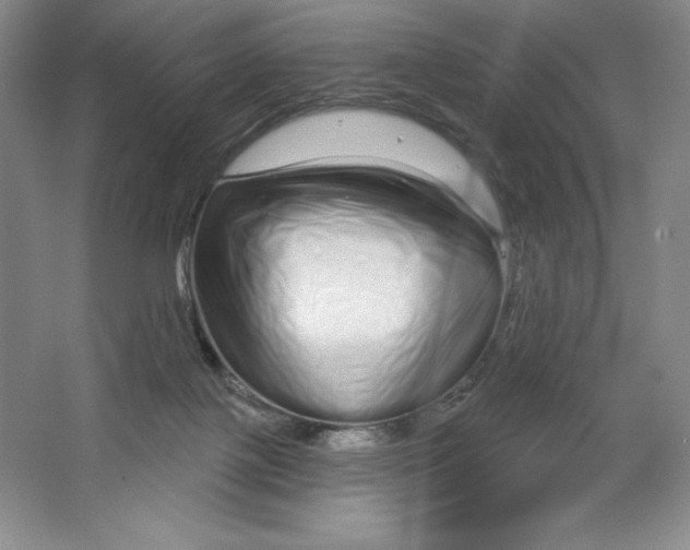 X0000064720075200603031627