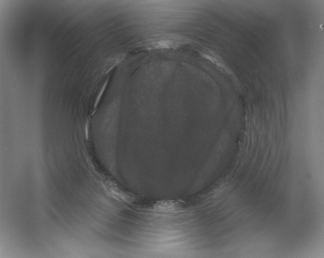 X0000064720076200603031627