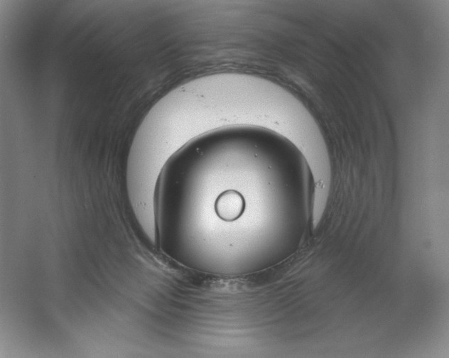 X0000064720077200603031627