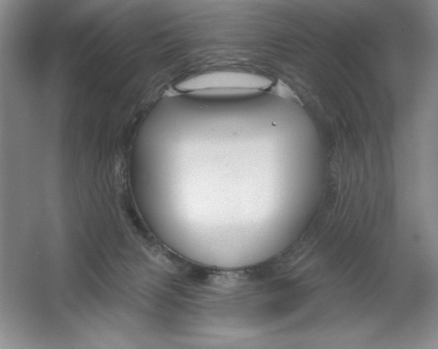 X0000064720079200603031627