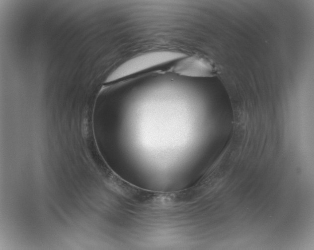 X0000064720080200603031627