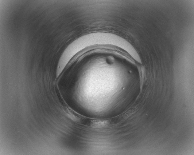 X0000064720081200603031627