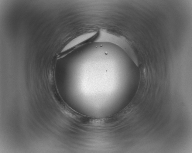 X0000064720084200603031627