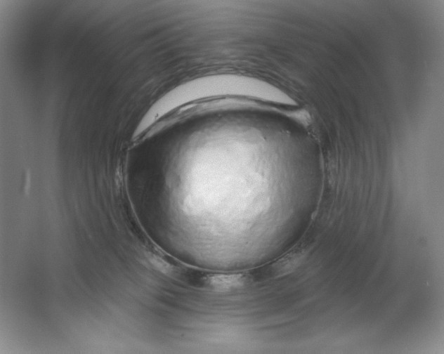 X0000064720085200603031627