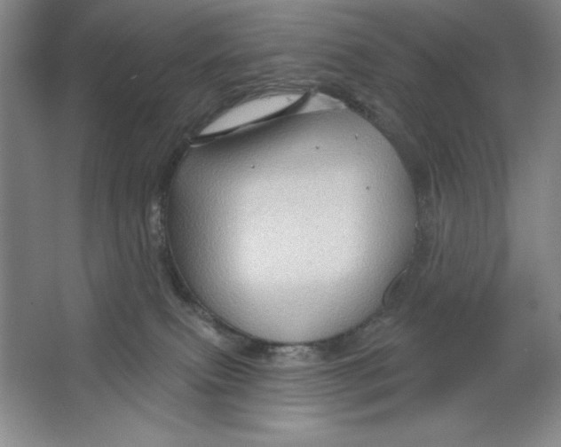 X0000064720087200603031627