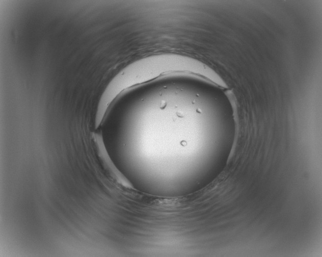 X0000064720088200603031627