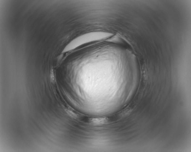X0000064720089200603031627