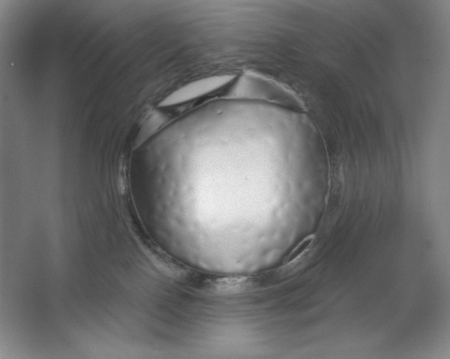 X0000064720090200603031627