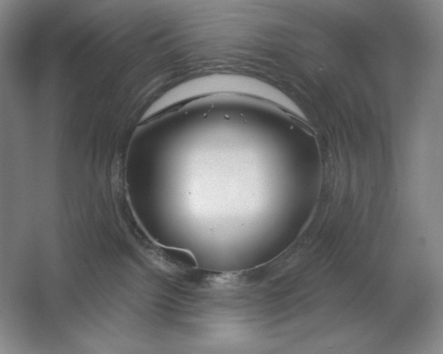 X0000064720092200603031627