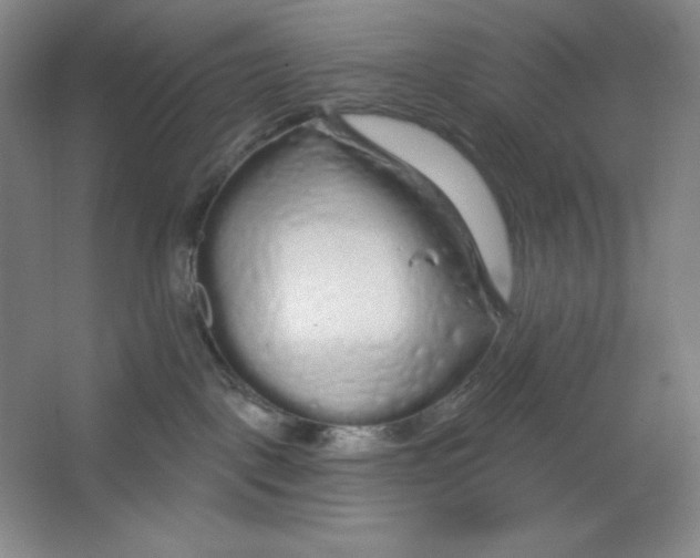 X0000064720093200603031627