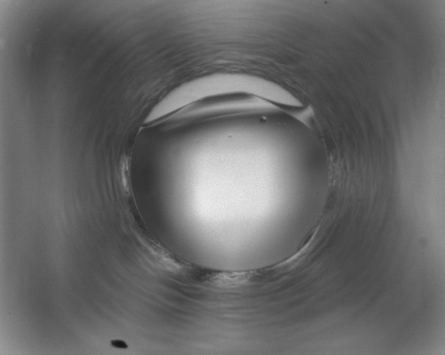 X0000064720094200603031627