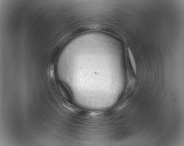 X0000064720095200603031627