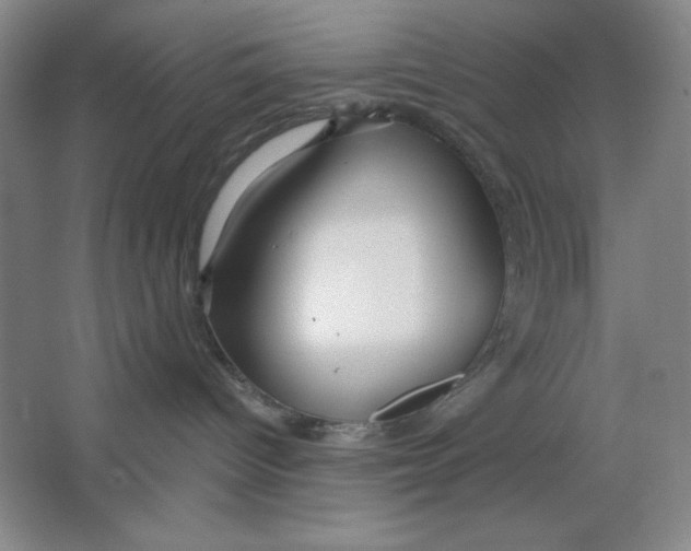 X0000064720096200603031627