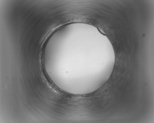 X0000064720098200603031626