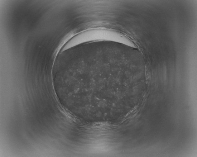 X0000064720099200603031626