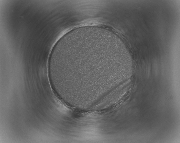 X0000064720100200603031626