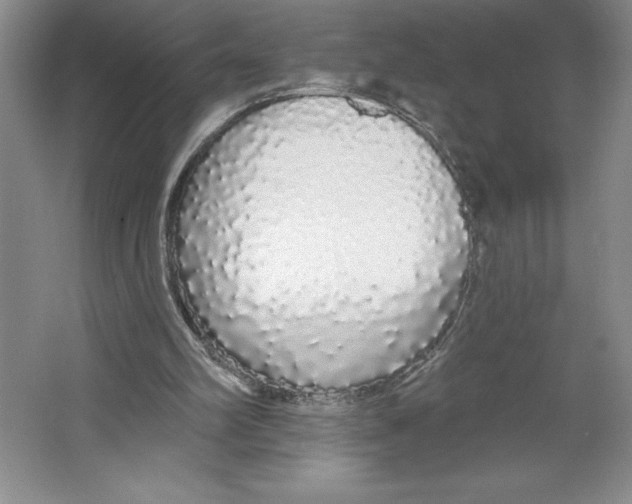 X0000064720102200603031626