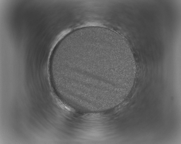 X0000064720104200603031626