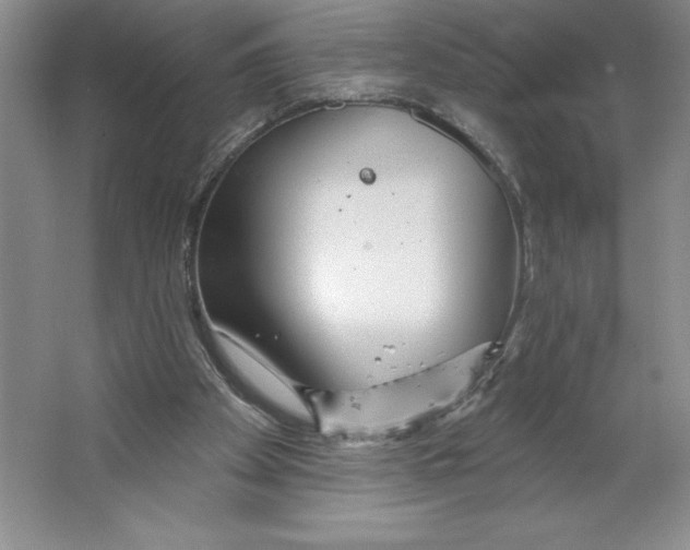 X0000064720105200603031626