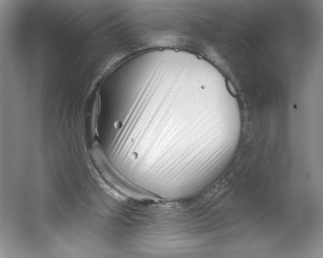 X0000064720106200603031626