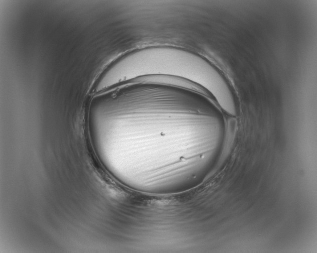 X0000064720107200603031626