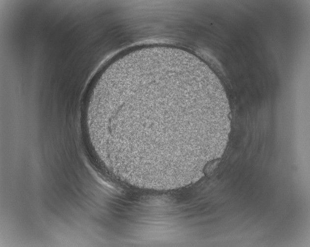 X0000064720108200603031626