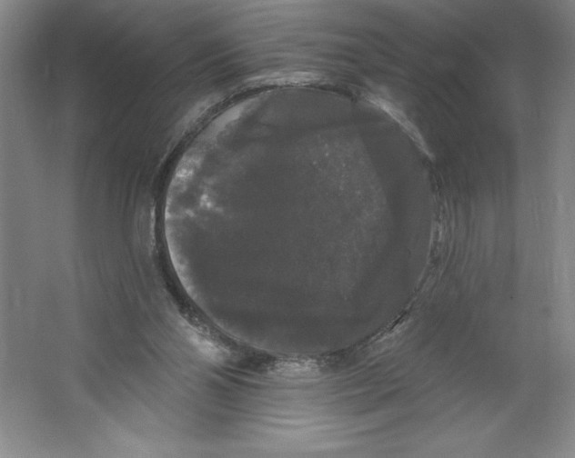 X0000064720110200603031626