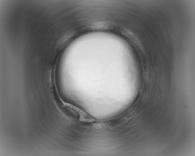 X0000064720115200603031626