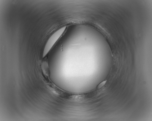 X0000064720117200603031626