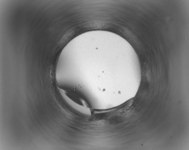 X0000064720119200603031626