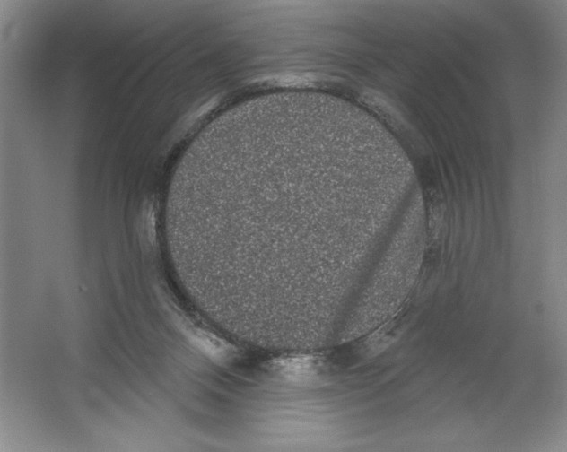 X0000064720120200603031626