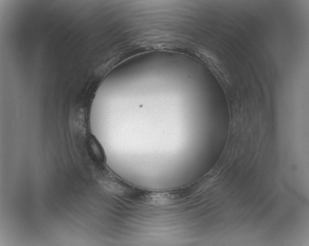 X0000064720121200603031626