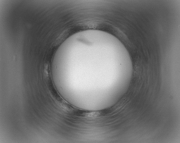 X0000064720122200603031626