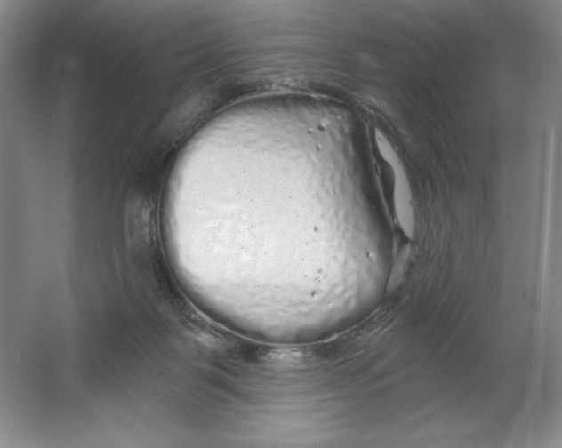 X0000064720123200603031626