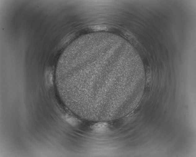 X0000064720124200603031626