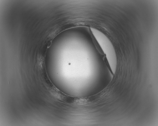 X0000064720125200603031626