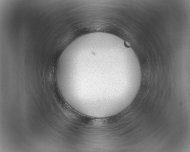 X0000064720126200603031626