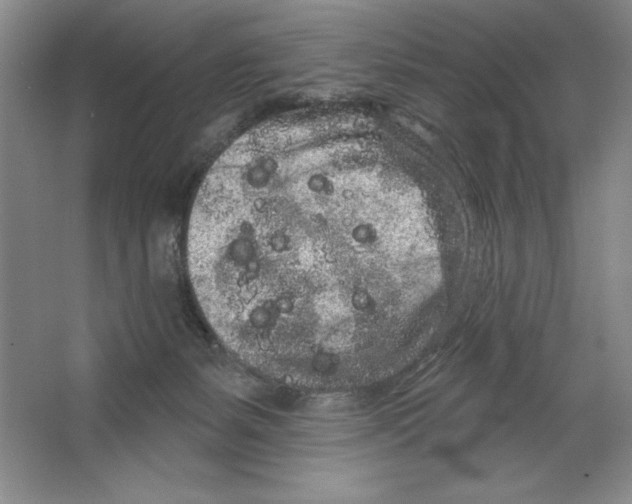 X0000064720127200603031626