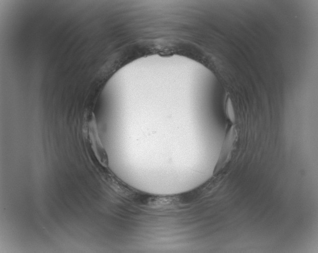 X0000064720129200603031626