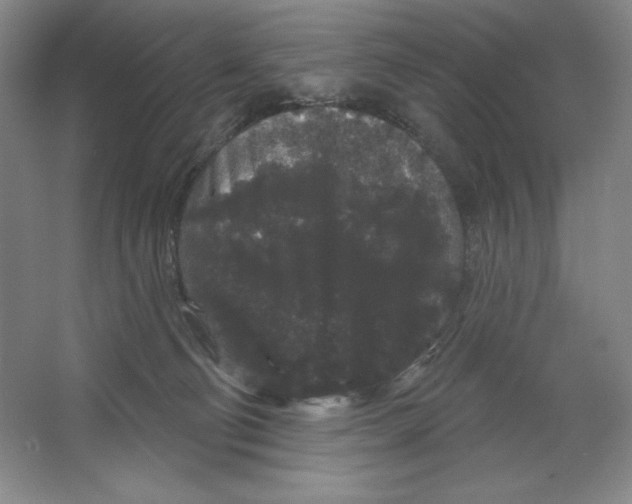X0000064720130200603031626