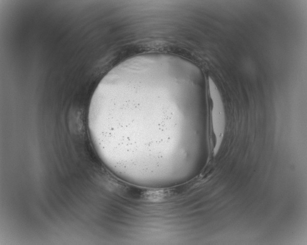 X0000064720131200603031625