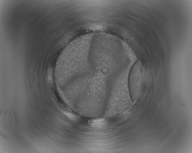 X0000064720132200603031625