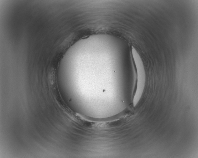 X0000064720133200603031625