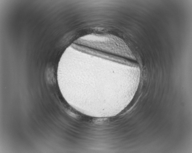 X0000064720136200603031625