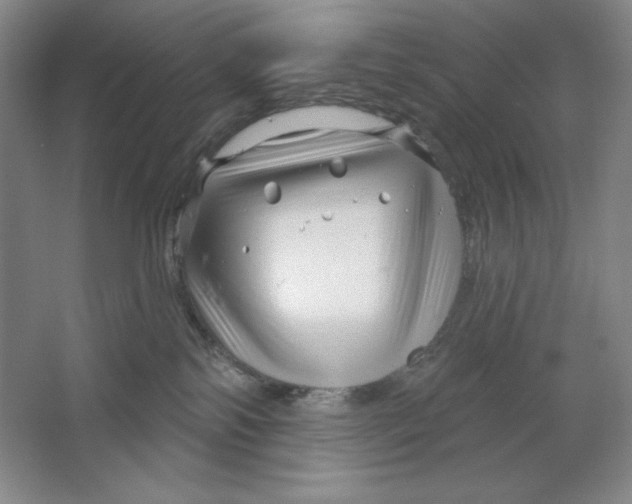 X0000064720138200603031625