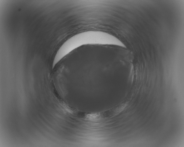 X0000064720139200603031625
