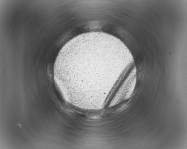 X0000064720140200603031625