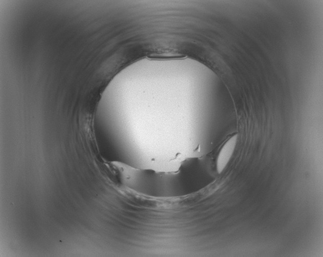 X0000064720141200603031625