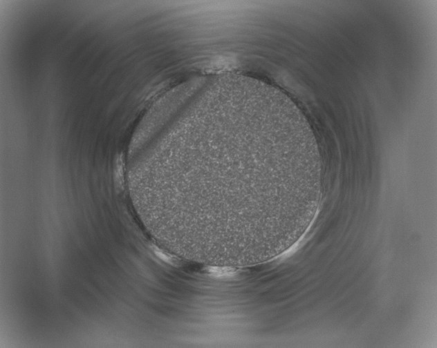 X0000064720144200603031625