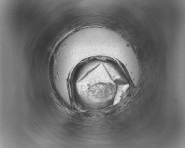 X0000064720146200603031624